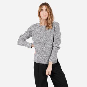 Everlane The Chunky Wool Wide Crew Neck